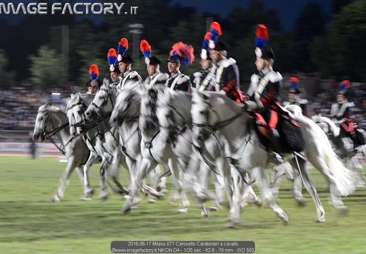 2016-06-17 Milano - Carosello Carabinieri a cavallo